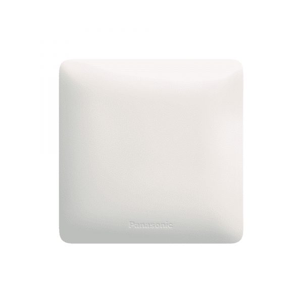 Panasonic 1G Blank Plate