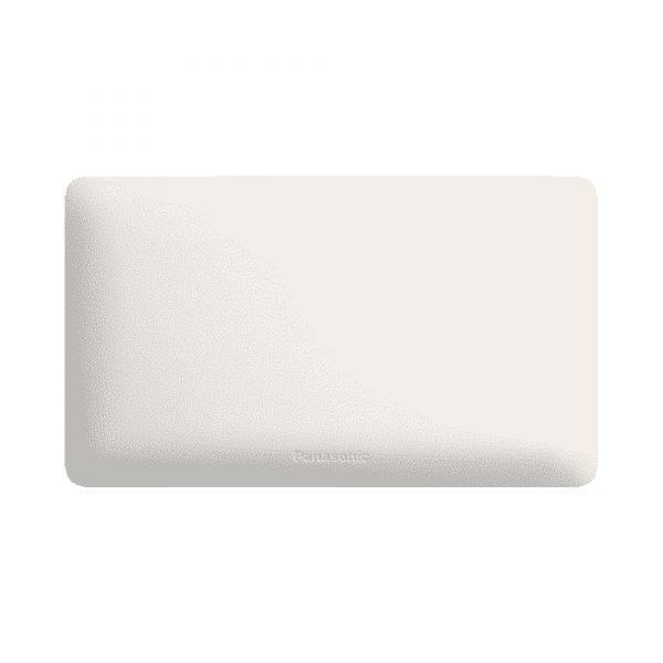 Panasonic 2G Blank Plate