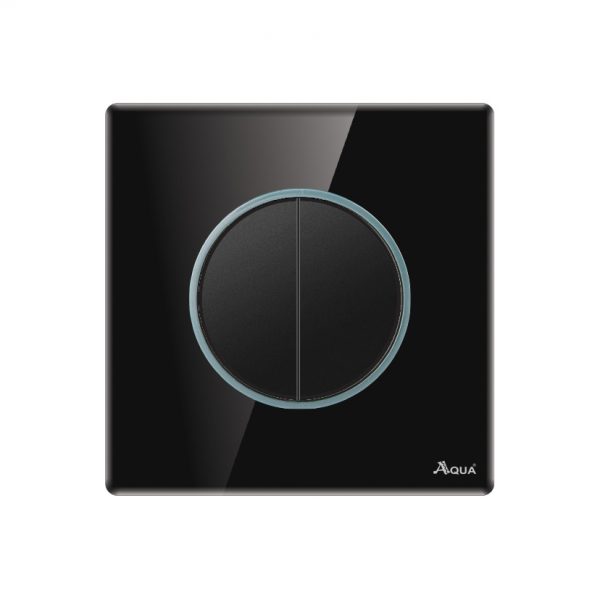Aqua Roman Black Series 2 Gang Switch