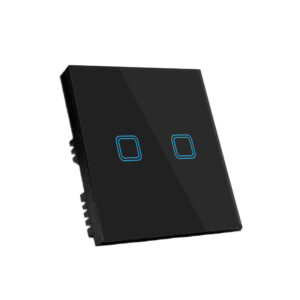 Glass Wifi Smart 2 Gang Switch Black