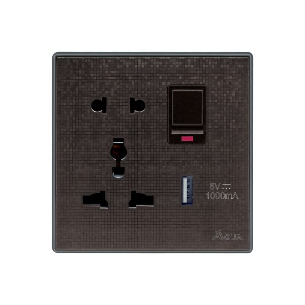 Aqua Icon Brown Universal Socket + USB