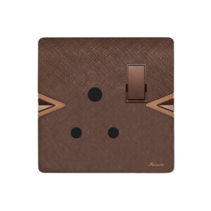 AQUA ARROW BROWN POWER PLUG