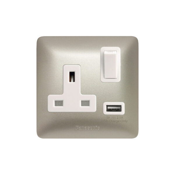 Panasonic 1G DP Switched BS Socket with USB Charger